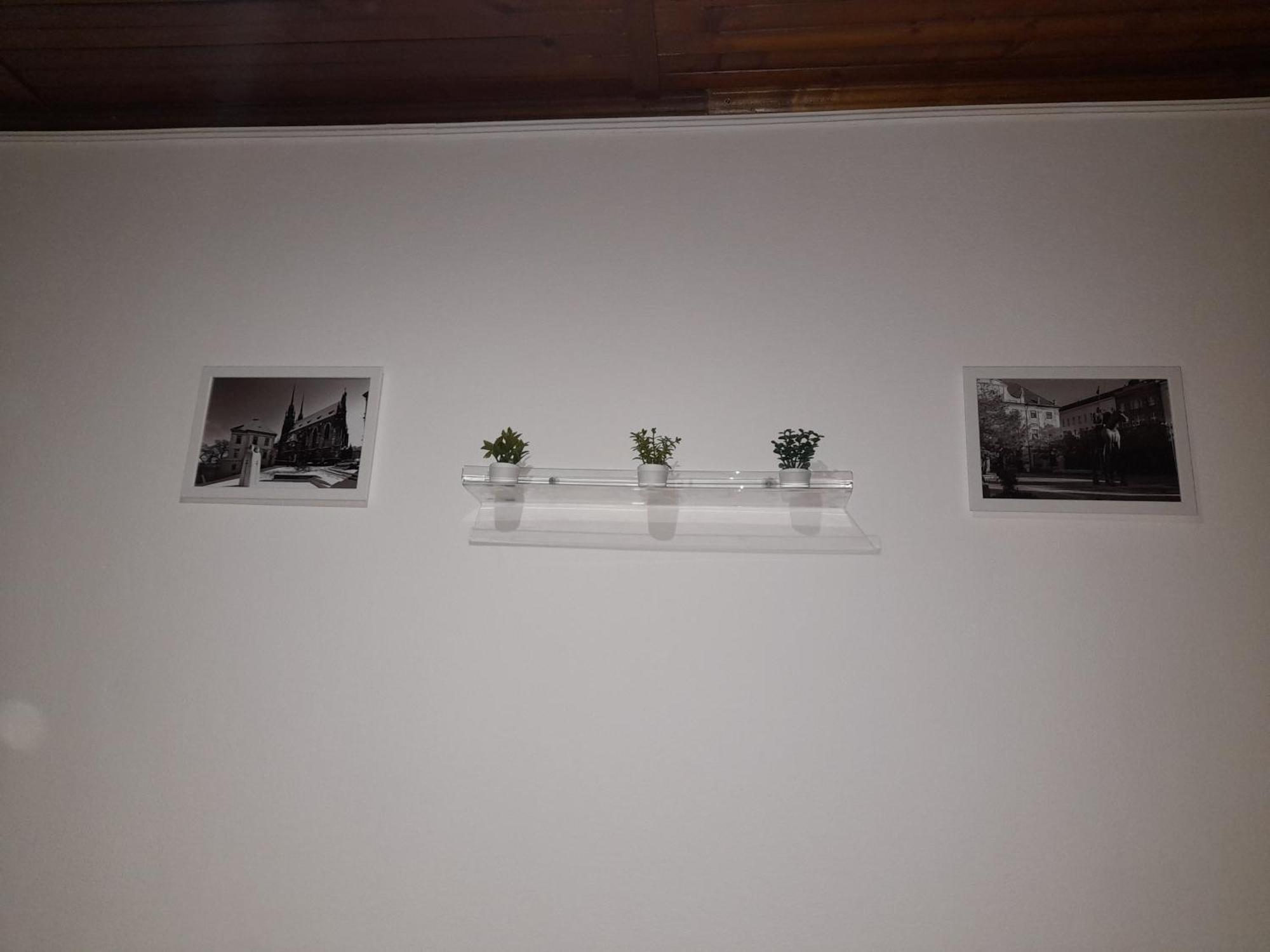 Apartments Vancurova Бърно Екстериор снимка